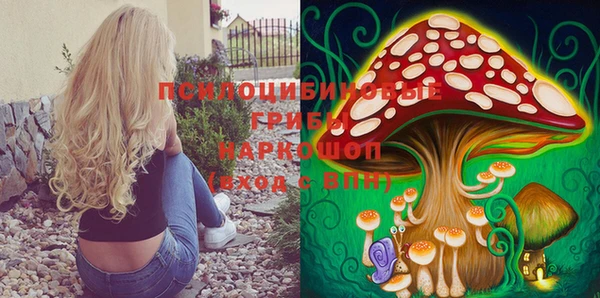 хмурый Абдулино