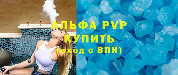 индика Сатка