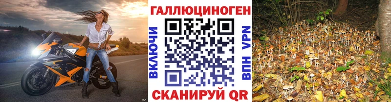 Псилоцибиновые грибы прущие грибы Агрыз